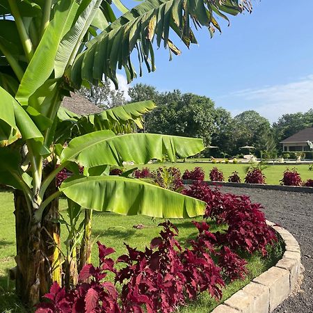 Tanzania Safari Lodge أروشا المظهر الخارجي الصورة